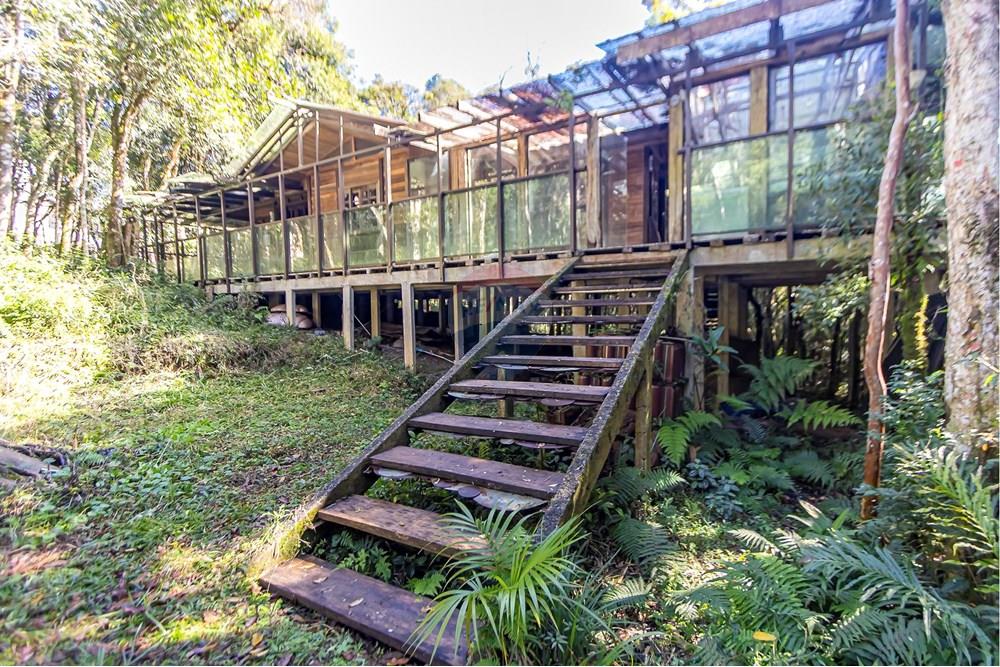 Chácara / Sítio / Fazenda - Venda - Piraquara , Paraná - IMG_3638_1.jpg - 560431012-39