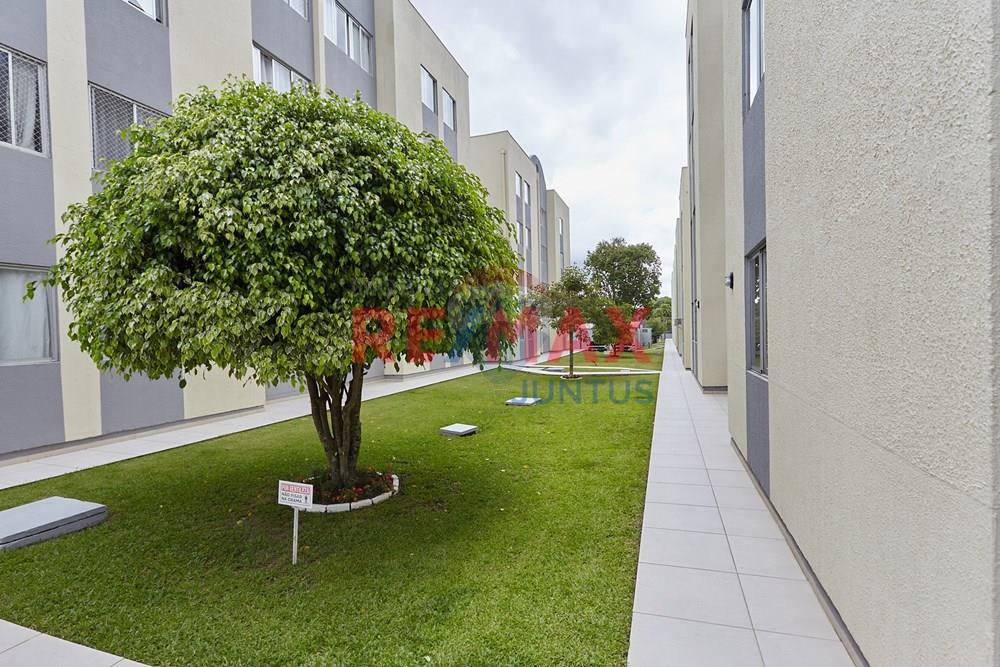 Apartamento - Alugar - Curitiba , Paraná - _MG_2431.jpg - 560411044-148