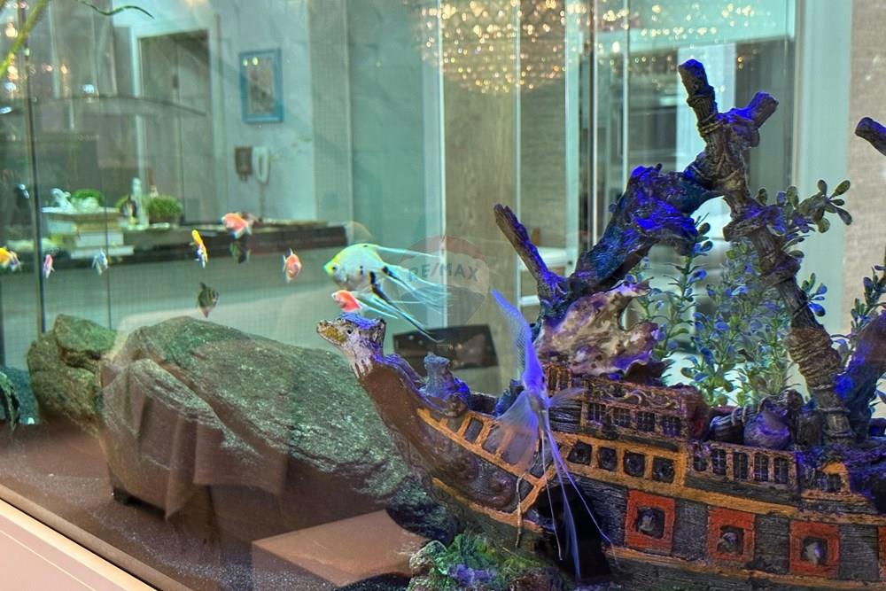 Sobrado - Venda - Curitiba , Paraná - 20.jpg - 560341080-250