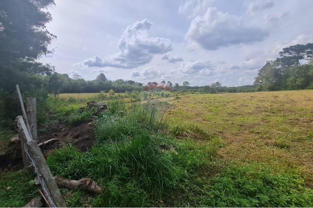 Chácara / Sítio / Fazenda - Venda - São José dos Pinhais , Paraná - b68ec69a-4614-4e21-8404-c452e1378f9f.jpeg - 560331128-24