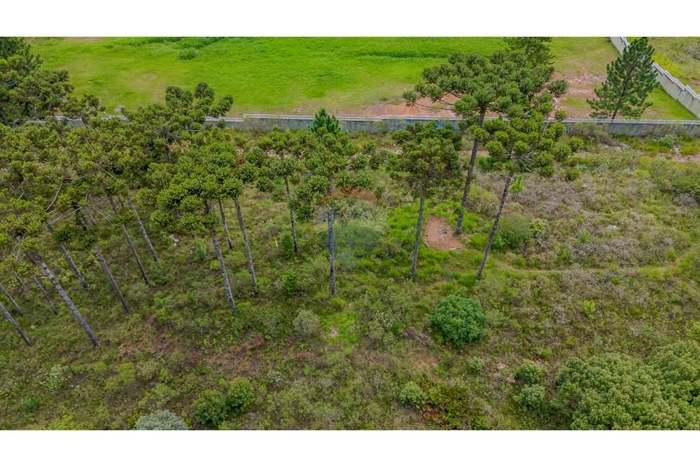 Terreno - Venda - São José dos Pinhais , Paraná - DJI_20250227132758_0561_D.jpg - 560351069-35