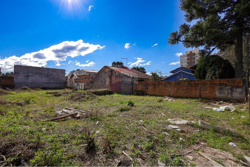 Terreno - Venda - Curitiba , Paraná - IMG_1590.jpg - 560341193-27