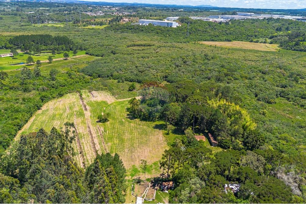 Chácara / Sítio / Fazenda - Venda - São José dos Pinhais , Paraná - DJI_0435_1.jpg - 560331128-24