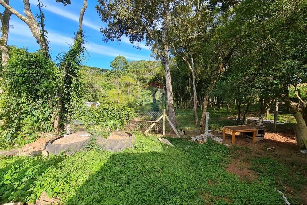 Galpão - Venda - São José dos Pinhais , Paraná - c69fb35b-1d6d-4f65-8dd3-55a35e5bf5ad.jpeg - 560331128-20