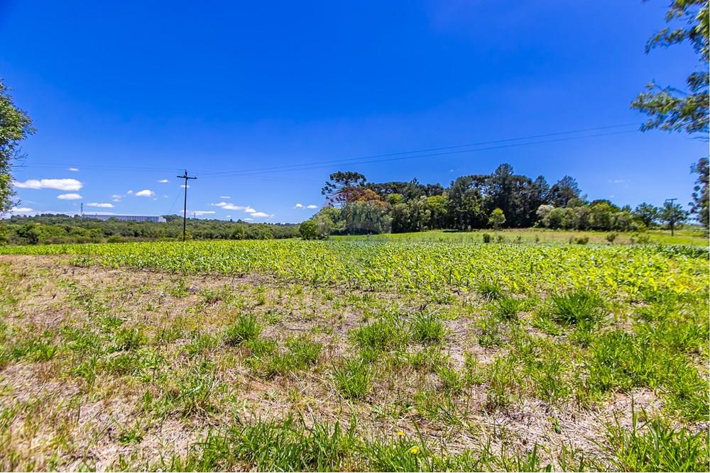 Chácara / Sítio / Fazenda - Venda - São José dos Pinhais , Paraná - IMG_7271.JPG - 560331128-24