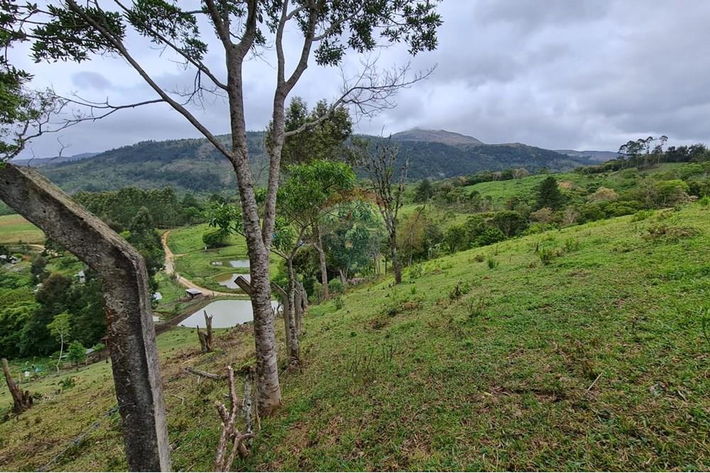 Chácara / Sítio / Fazenda - Venda - Tijucas do Sul , Paraná - 0c2893e9-0ca7-4956-bce1-0d95b370ced4.jpeg - 560391051-16