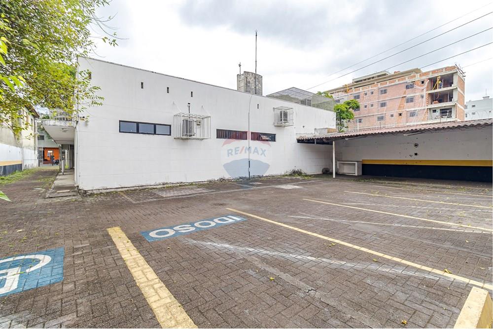 Terreno - Venda - Curitiba , Paraná - IMG_5091.jpg - 560321058-111