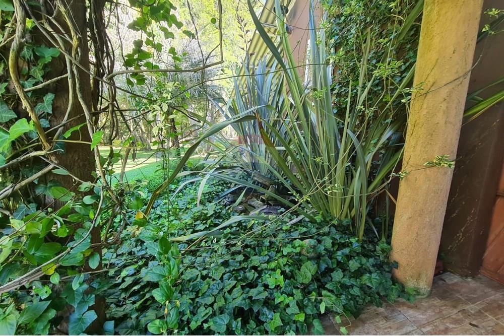 Casa Comercial - Alugar - São José dos Pinhais , Paraná - 7da6dedf-0127-4e7a-be4b-fa753f514833.jpeg - 560331128-18