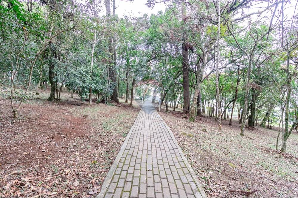 Apartamento - Venda - São José dos Pinhais , Paraná - 370.jpg - 560391055-24