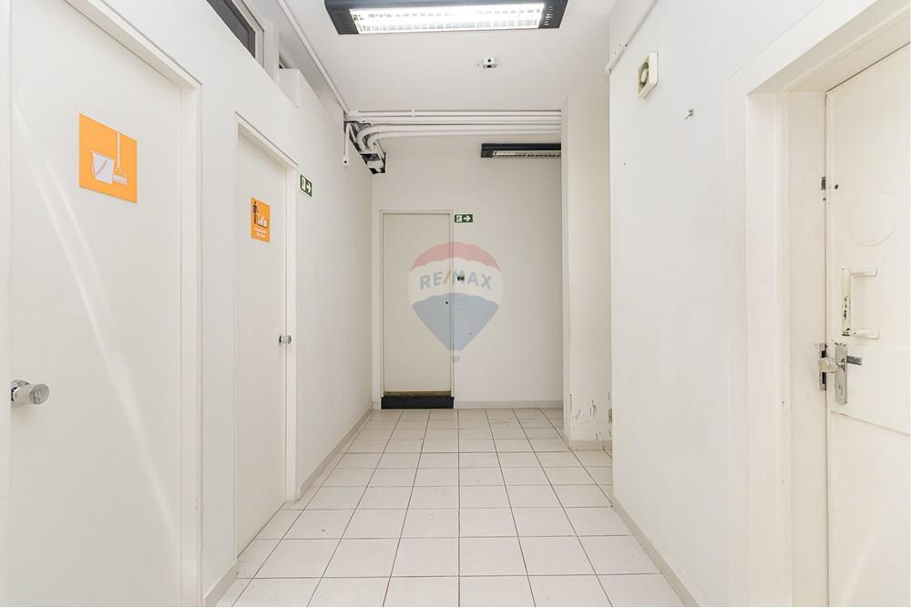 Terreno - Venda - Curitiba , Paraná - IMG_5135.jpg - 560321058-111