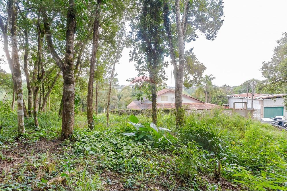 Terreno - Venda - Colombo , Paraná - _MG_7350.jpg - 560391062-13