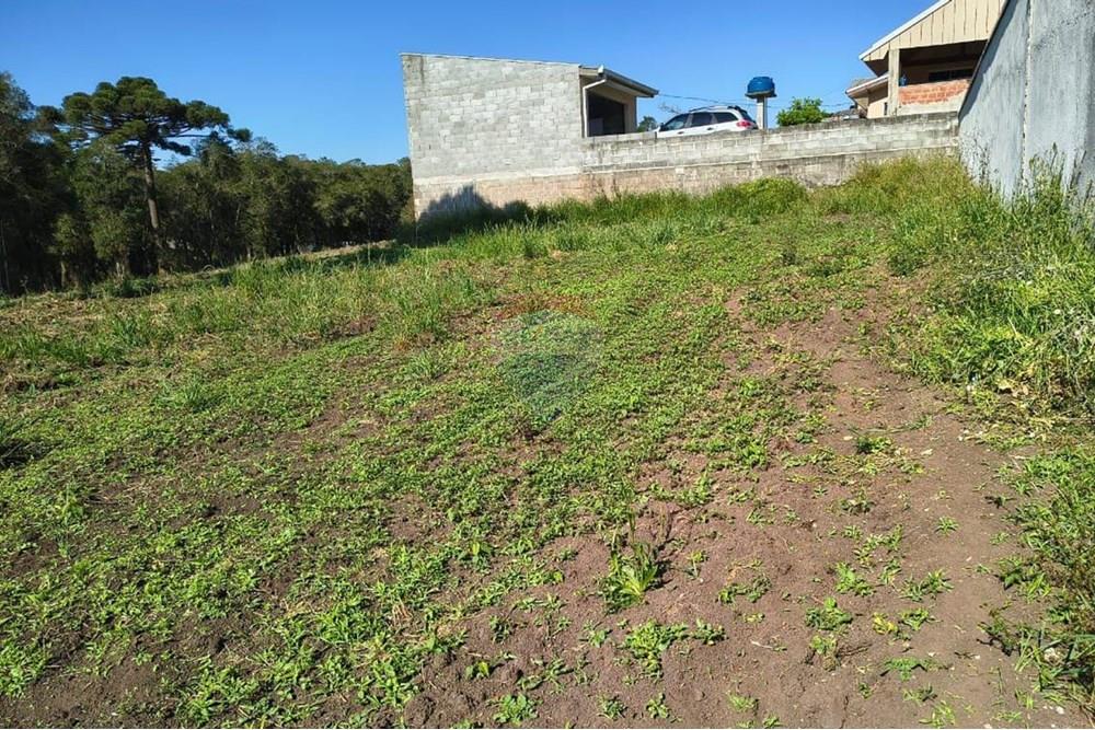 Terreno - Venda - Campo Largo , Paraná - WhatsApp Image 2025-10-06 at 22.05.54.jpeg - 560351155-5