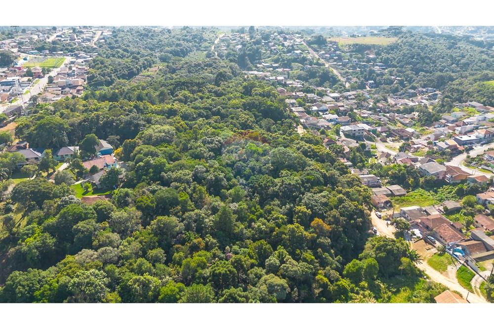 Terreno - Venda - Almirante Tamandaré , Paraná - DJI_0016.jpg - 560411008-76