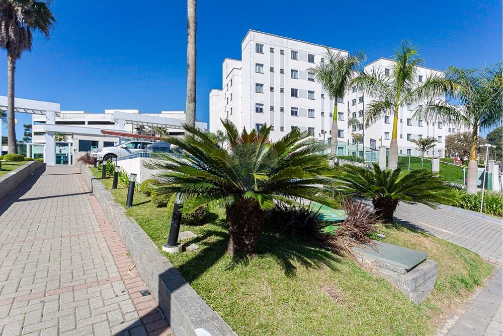 Apartamento - Venda - Curitiba , Paraná - IMG_0670.jpg - 560321046-161