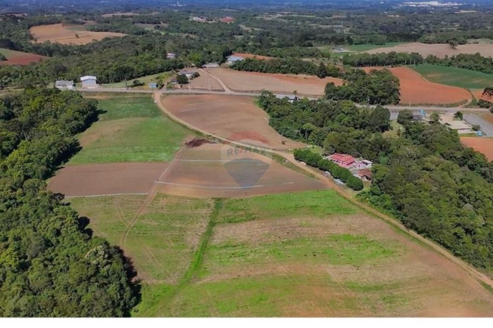 Chácara / Sítio / Fazenda - Venda - São José dos Pinhais , Paraná - WhatsApp Image 2025-12-15 at 11.22.19.jpeg - 560321160-2