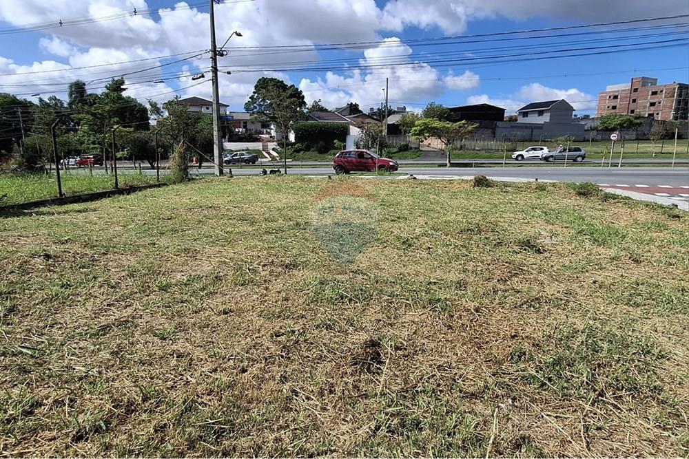 Terreno - Venda - Curitiba , Paraná - Terreno 2.jpeg - 560441028-36