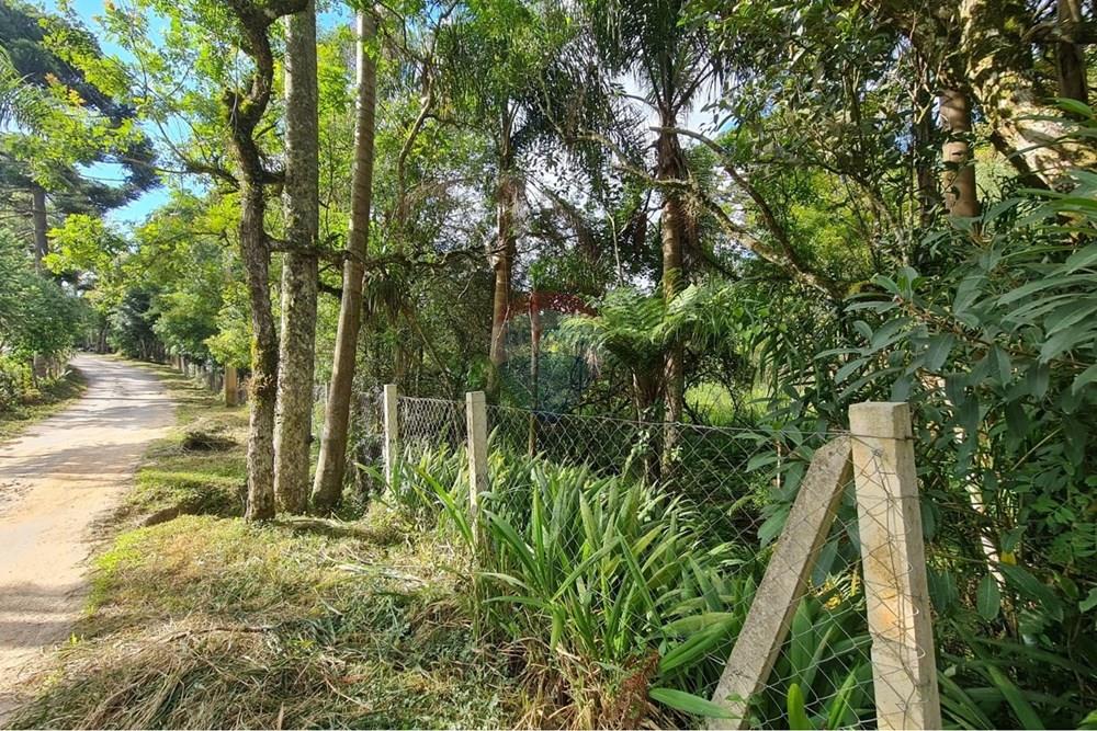 Galpão - Venda - São José dos Pinhais , Paraná - 071d298a-a6f9-4ed2-8a96-050966b482f3.jpeg - 560331128-20