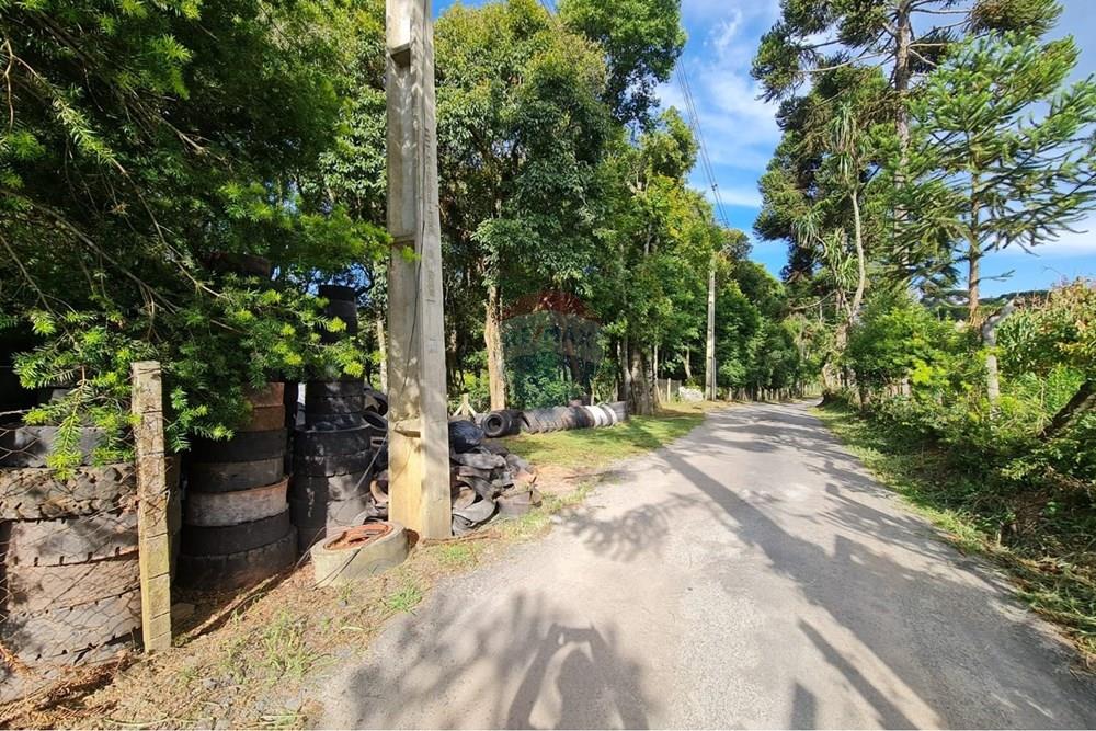 Galpão - Venda - São José dos Pinhais , Paraná - f763fa1a-b663-43e8-bcad-676b35424f5e.jpeg - 560331128-20