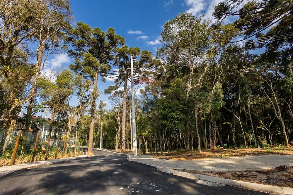 Casa de Condomínio - Venda - Curitiba , Paraná - IMG_6320.jpg - 560431033-13
