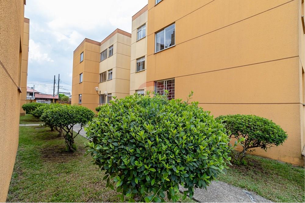 Apartamento - Venda - Curitiba , Paraná - IMG_0592.jpg - 560351022-77