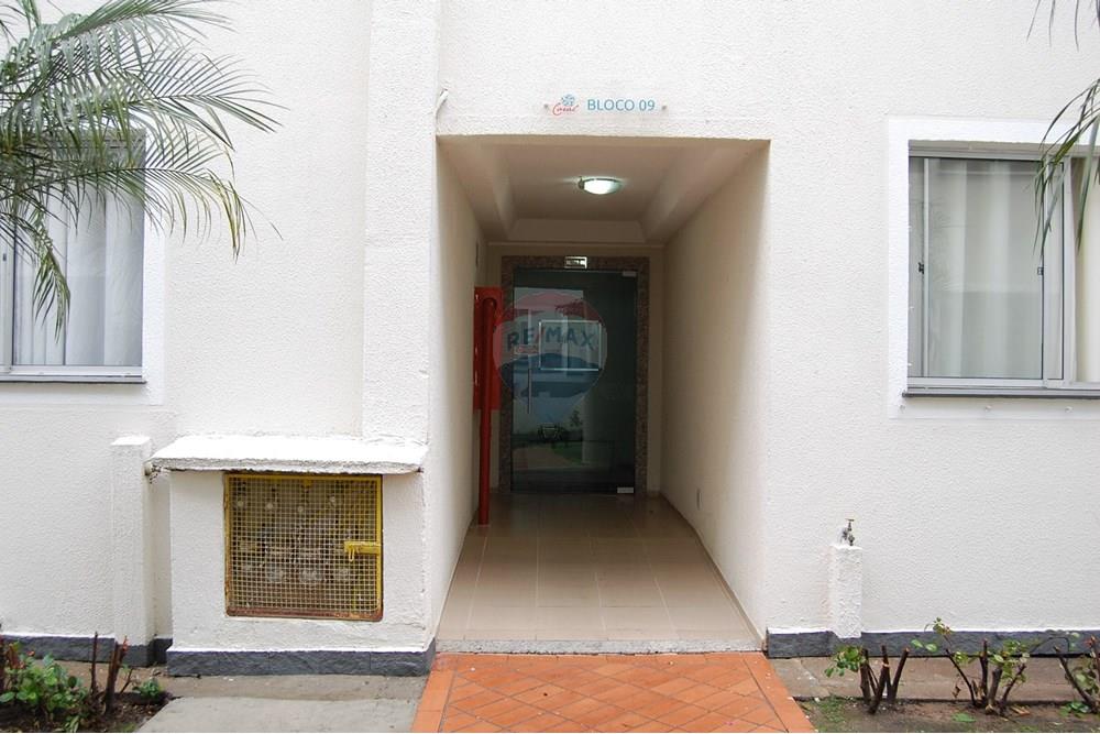 Apartamento - Venda - São José dos Pinhais , Paraná - 8.JPG - 560471010-6