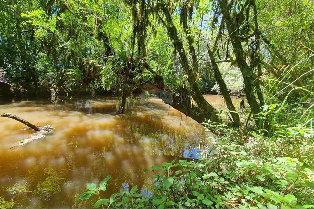 Chácara / Sítio / Fazenda - Venda - São José dos Pinhais , Paraná - aa77f0b3-6937-4d45-97d2-334d4bee2088.jpeg - 560331128-24