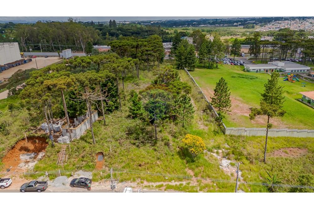 Terreno - Venda - São José dos Pinhais , Paraná - DJI_20250227133112_0570_D.jpg - 560351069-35