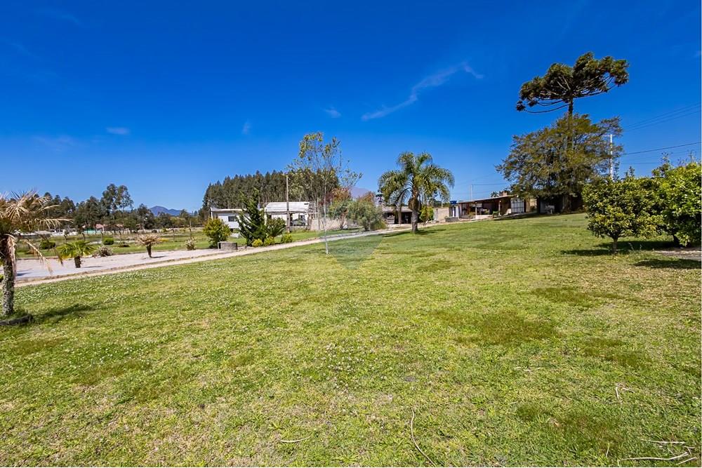 Chácara / Sítio / Fazenda - Venda - Campina Grande do Sul , Paraná - IMG_4589.jpg - 560411009-91