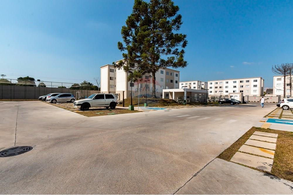 Apartamento - Venda - São José dos Pinhais , Paraná - IMG_4406.jpg - 560321131-15