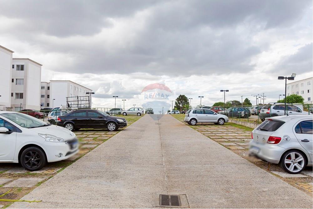 Apartamento - Venda - São José dos Pinhais , Paraná - IMG_2770.jpg - 560351119-12