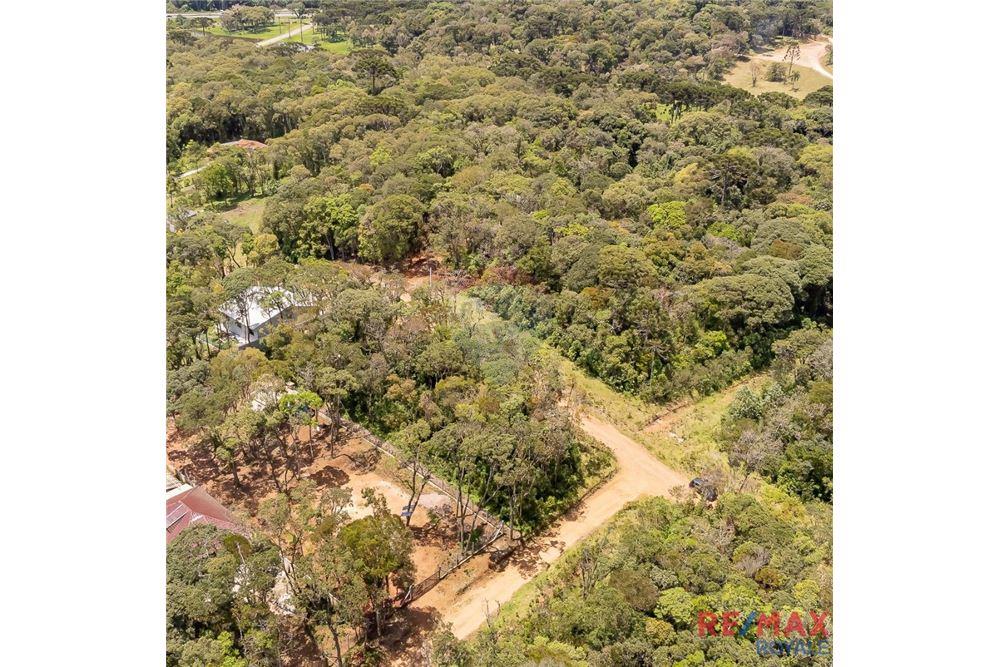Terreno - Venda - São José dos Pinhais , Paraná - 24 - 560251029-43