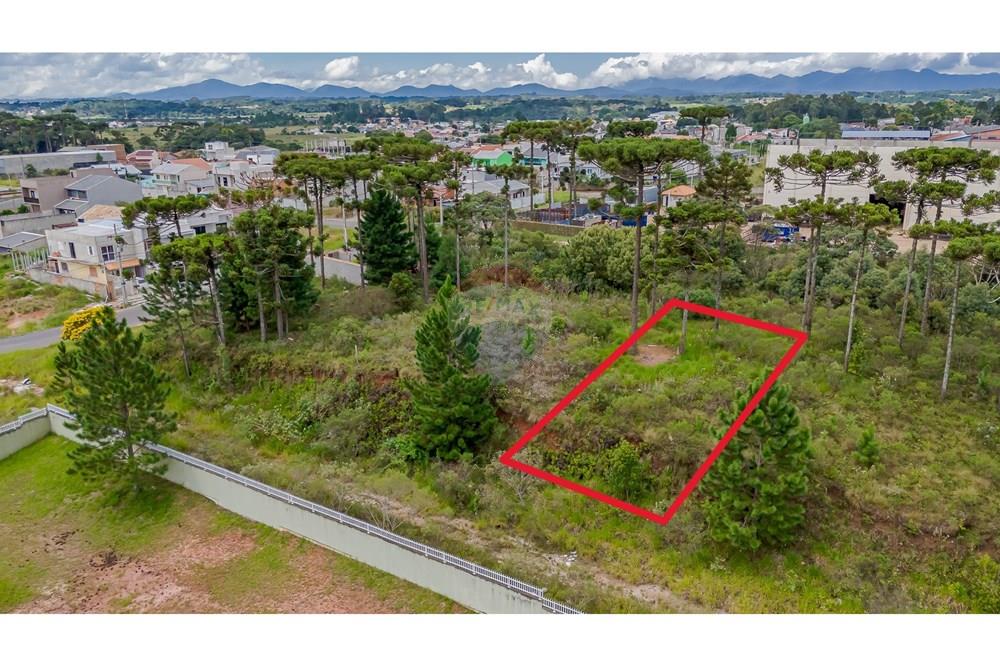 Terreno - Venda - São José dos Pinhais , Paraná - DJI_20250227132944_0569_D.jpg - 560351069-35