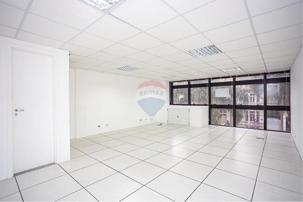 Turunduslik - Äripind - Curitiba , Paraná - BR - _MG_2278_1.jpg - 560351125-43