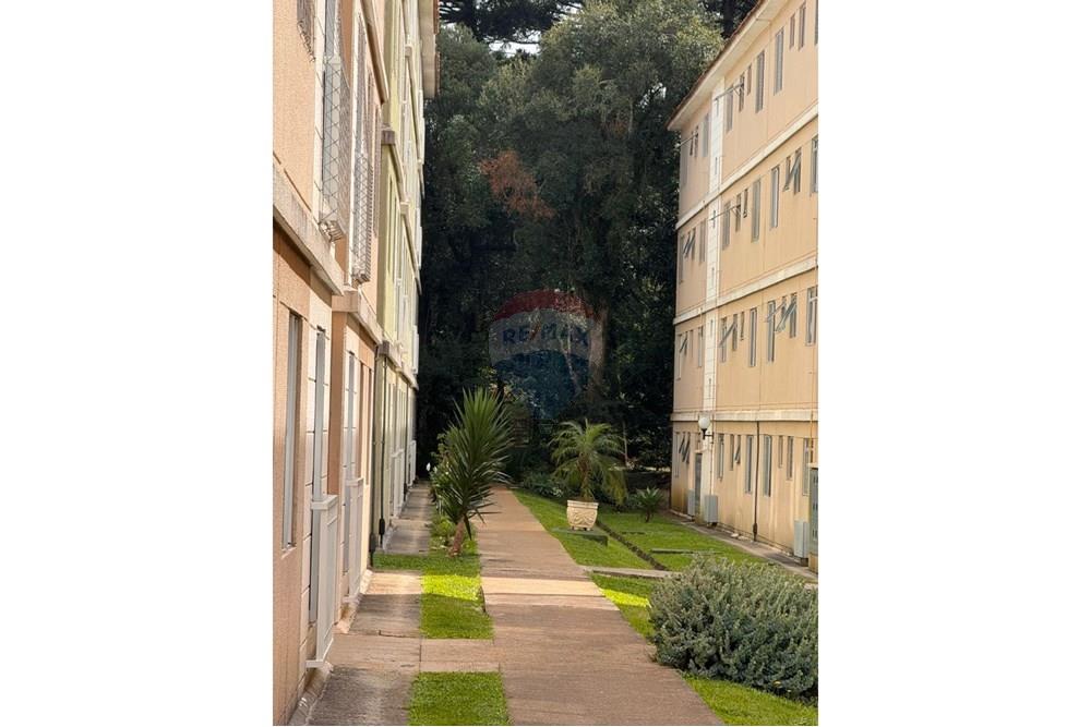 Apartamento - Venda - São José dos Pinhais , Paraná - WhatsApp Image 2025-05-03 at 16.13.51 (1).jpeg - 560251088-6