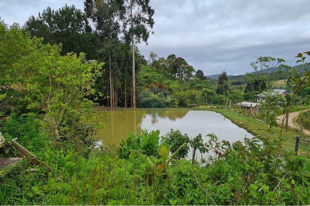 Chácara / Sítio / Fazenda - Venda - Tijucas do Sul , Paraná - a8693895-8825-40fe-8d41-40a476c3b981.jpeg - 560391051-16