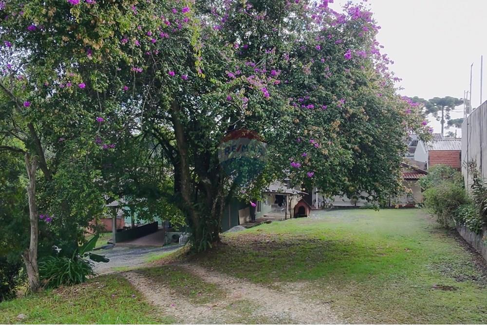 Жилищен - Поземлен имот - Curitiba , Paraná - BR - IMG-20250407-WA0012.jpg - 560321151-1
