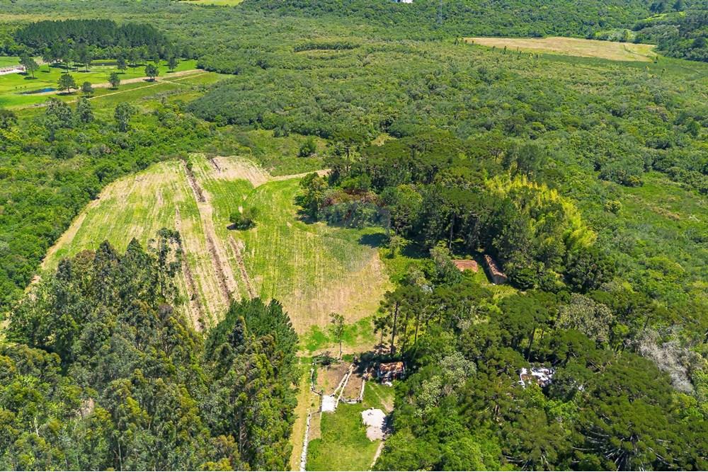 Chácara / Sítio / Fazenda - Venda - São José dos Pinhais , Paraná - DJI_0434_1.jpg - 560331128-24