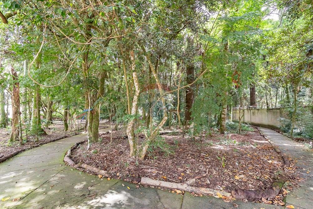 Apartamento - Alugar - Curitiba , Paraná - IMG_1328.jpg - 560441028-26