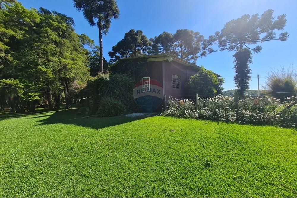 Casa Comercial - Alugar - São José dos Pinhais , Paraná - b14d3db1-6826-4216-8f6e-2ed94400b582.jpeg - 560331128-18