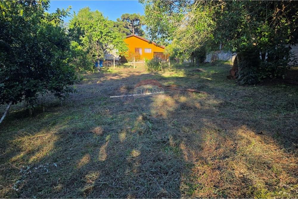 Terreno - Venda - Pinhais , Paraná - 20260206_174352.jpg - 560501001-19