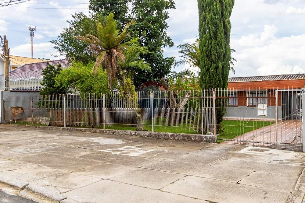 Terreno - Venda - Curitiba , Paraná - IMG_2993_1.jpg - 560331069-87