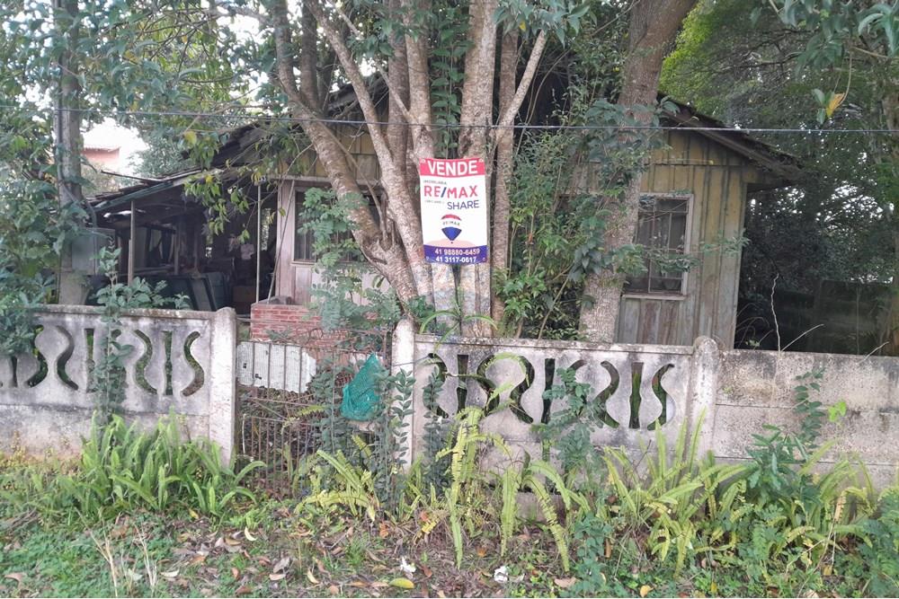 Terreno - Venda - Curitiba , Paraná - 20250716_153403.jpg - 560411073-17