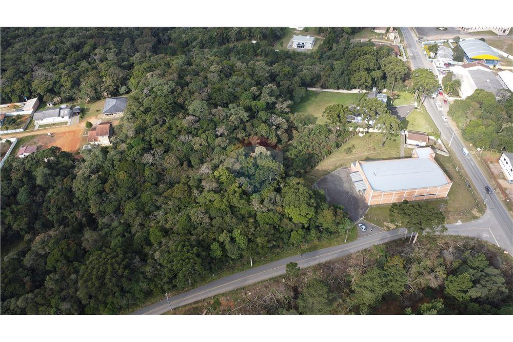 Terreno - Venda - São José dos Pinhais , Paraná - 8 - 560341114-47