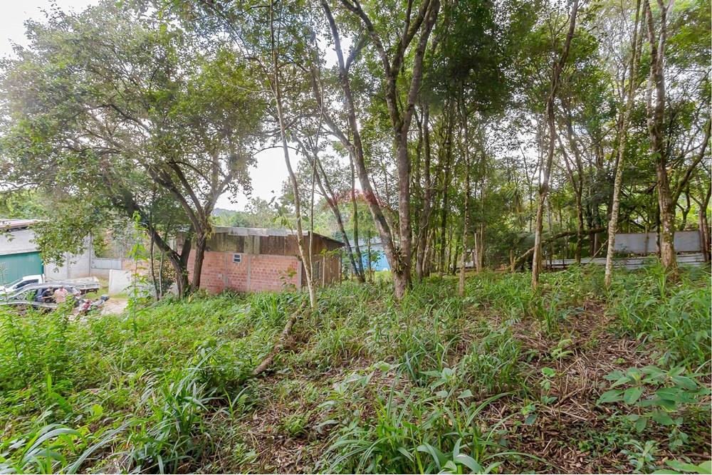 Terreno - Venda - Colombo , Paraná - _MG_7352.jpg - 560391062-13