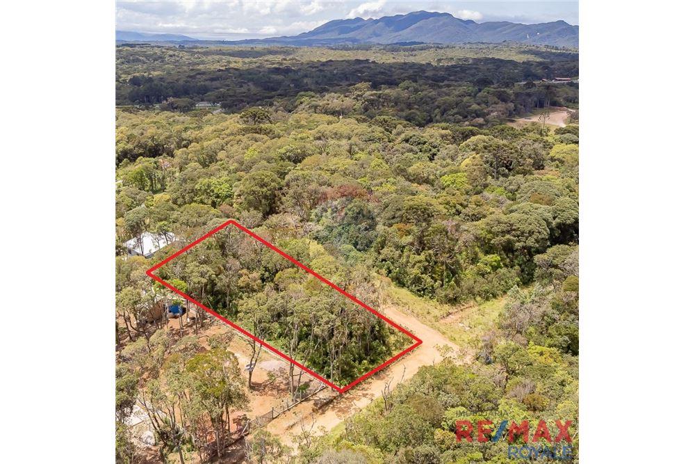 Terreno - Venda - São José dos Pinhais , Paraná - 7 - 560251029-43