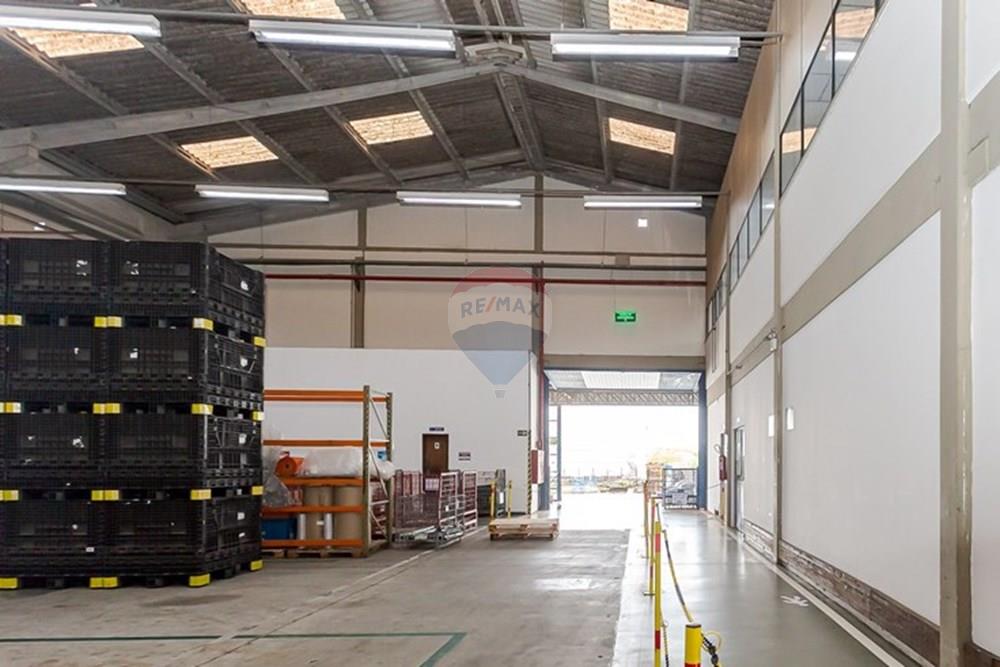 Galpão - Alugar - Curitiba , Paraná - IMG_2163.jpg - 560251029-57