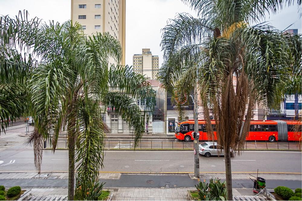 Turunduslik - Äripind - Curitiba , Paraná - BR - _MG_2288.jpg - 560351125-43