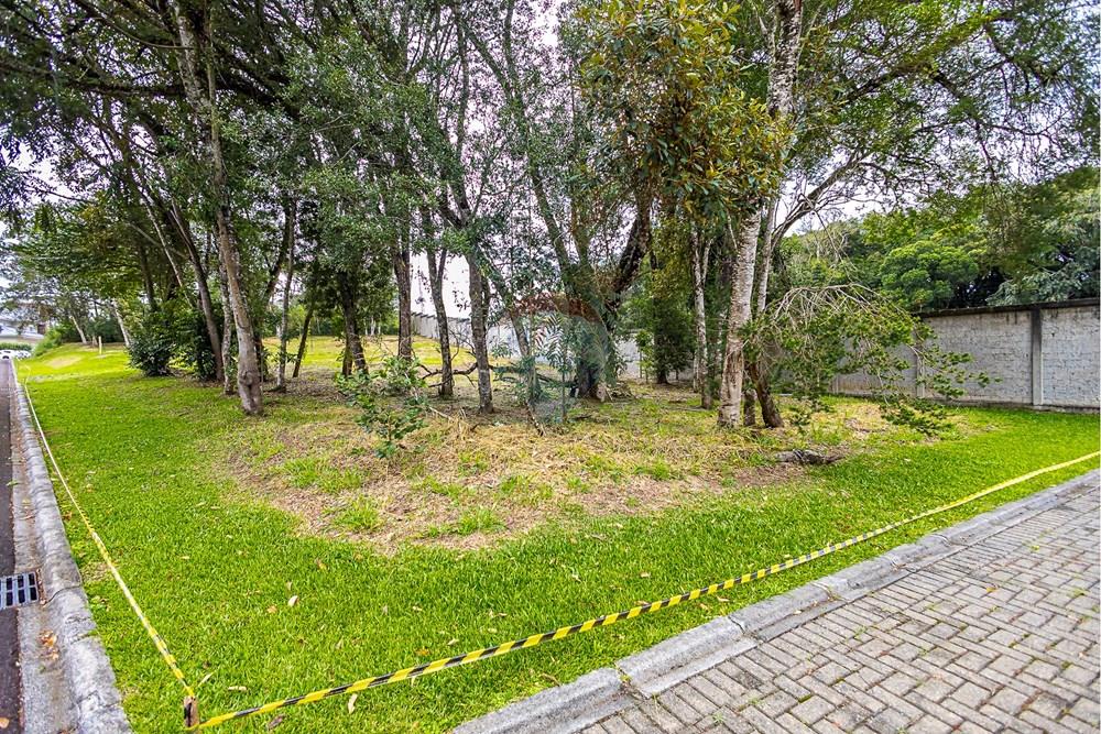 Terreno - Venda - Curitiba , Paraná - SHEEP - IMG_2560_1.jpg - 560341101-20