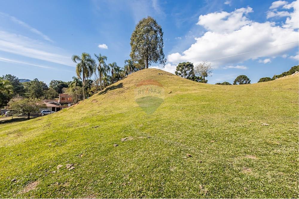 Chácara / Sítio / Fazenda - Venda - Campo Largo , Paraná - F (28).jpg - 560351150-1