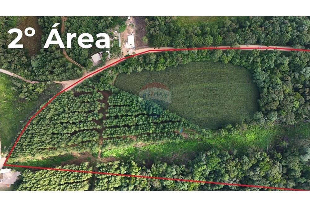 Terreno - Venda - Mandirituba , Paraná - 1.jpg - 560251068-41